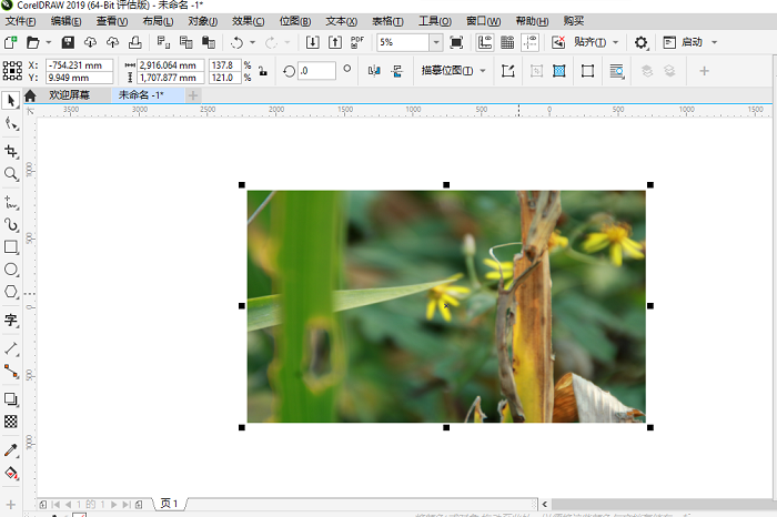 CDR格式文件用什么打开