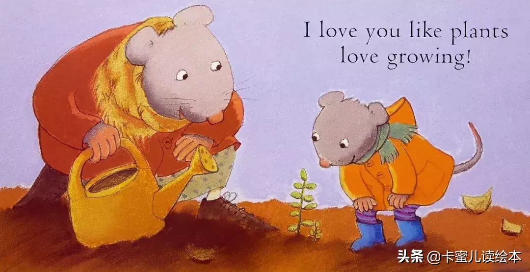 英文有声绘本《I Love You, Good Night 》我爱你,晚安