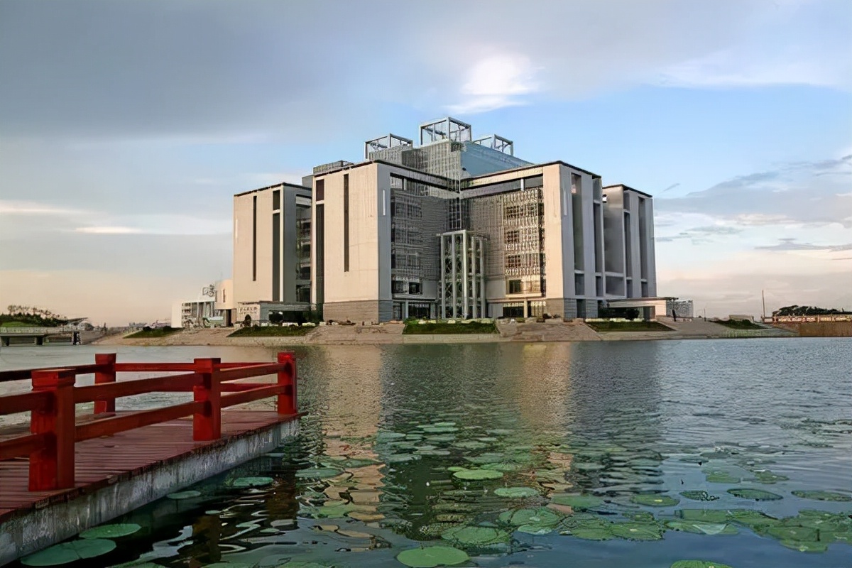 空欢喜？合肥学院更名“大学”，材料还未上交，网友：如何淡定？