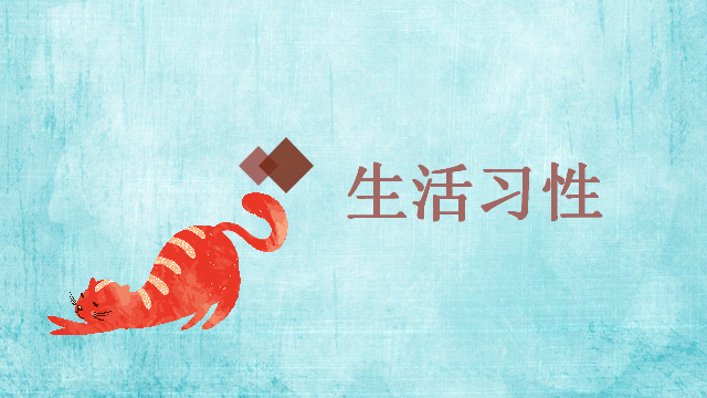 「清清的习作课」习作指导——《可爱的小猫》