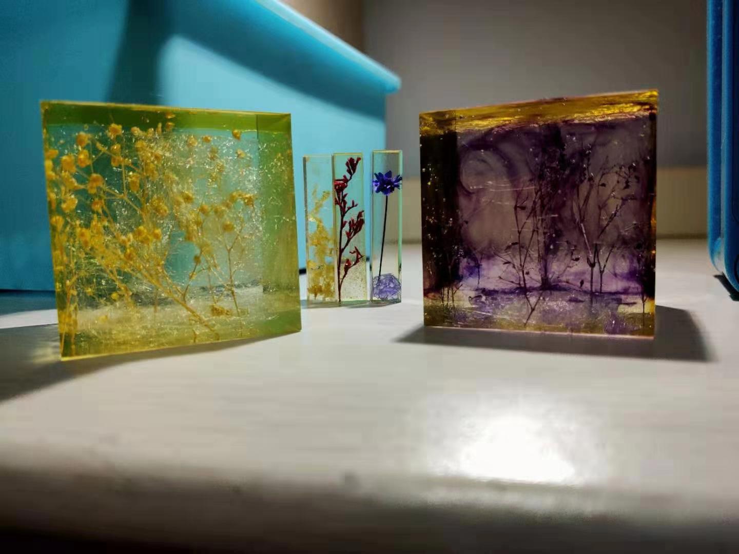 2019萌新“驾到”，中国药科大学带你直击现场！