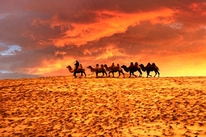 耳边的驼铃，眼前的夕阳，无垠的沙漠，带给我们震撼的视觉冲击