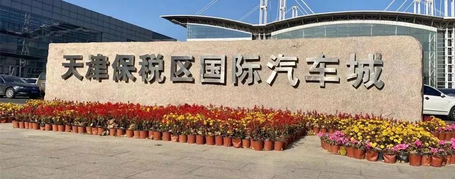 天津保税区国际汽车城国六新政后新车展销盛况