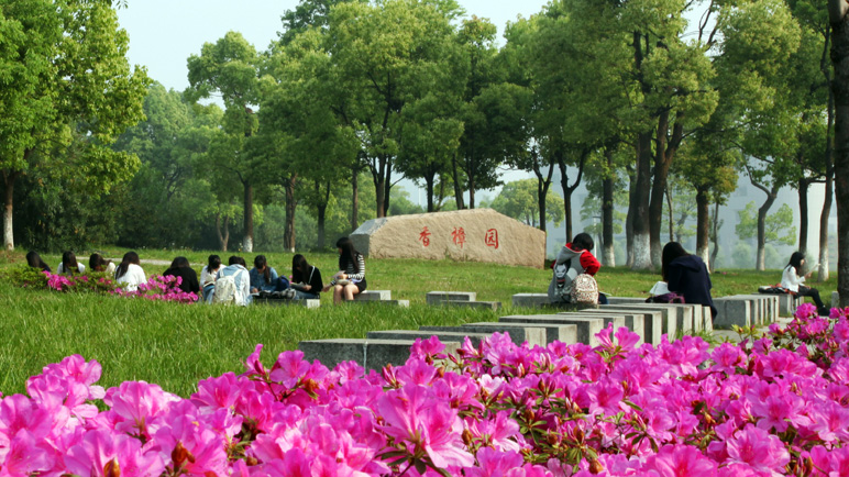 泰州“三校合一”，筹建“泰州大学”能否成功？契机何在？