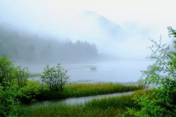 寻一处静谧，赶一场春雨