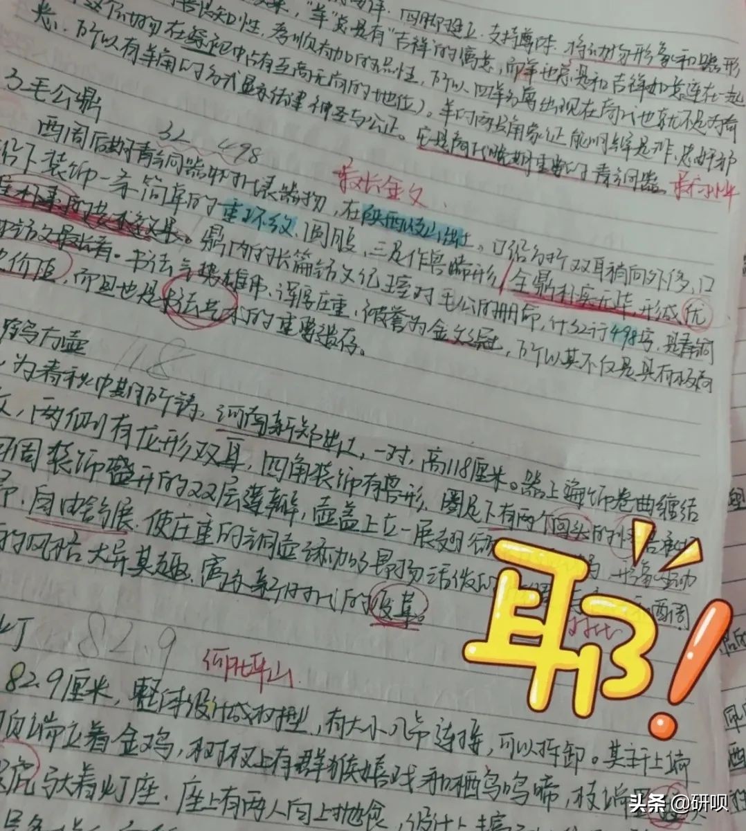 苏州大学艺术设计考研（612/505）经验分享