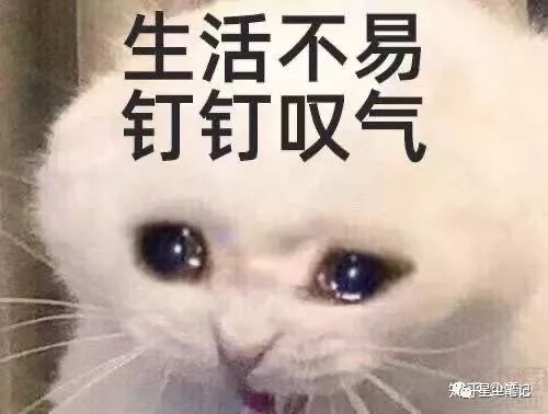 “求求爸爸们放过我吧”钉钉这波操作太牛了