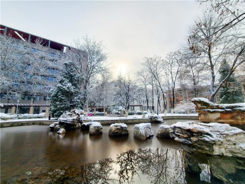 他们曾是校友，如今同在南开大学任教，已是博导、高级工程师，还一起获奖！