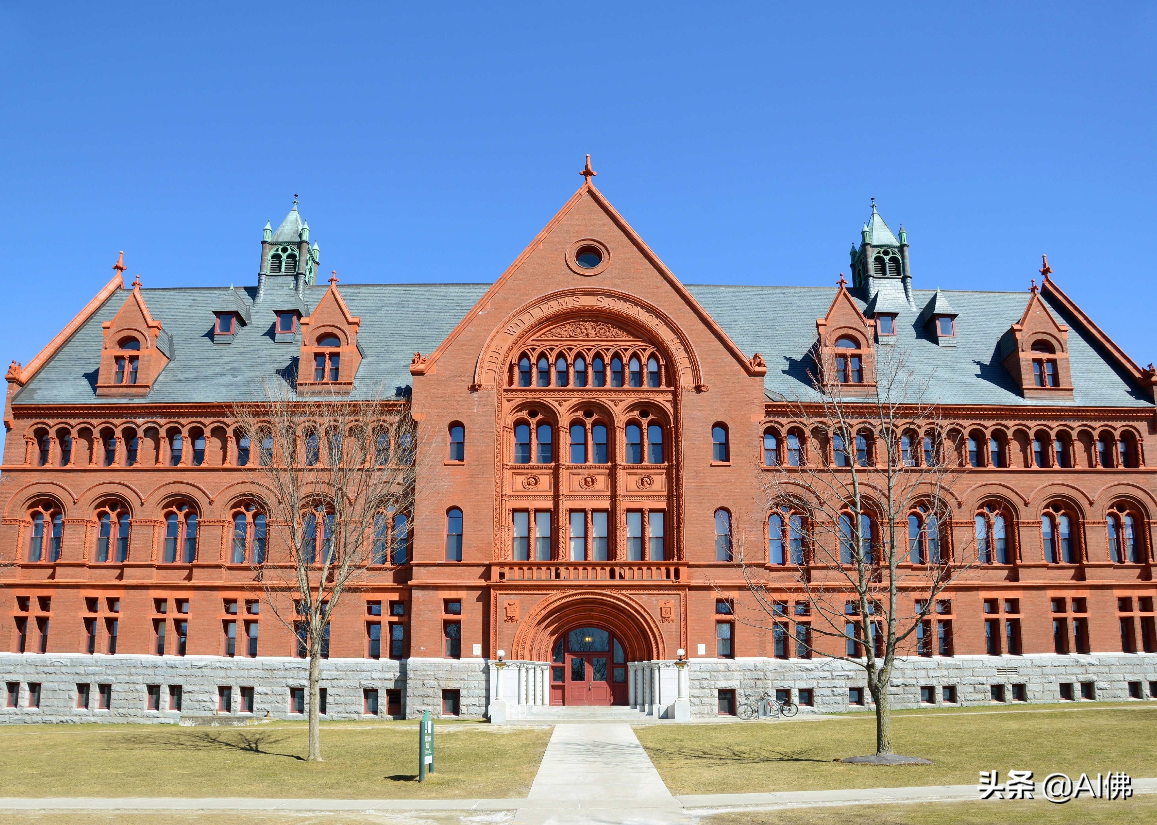 美国每个州ROI最高的公立大学