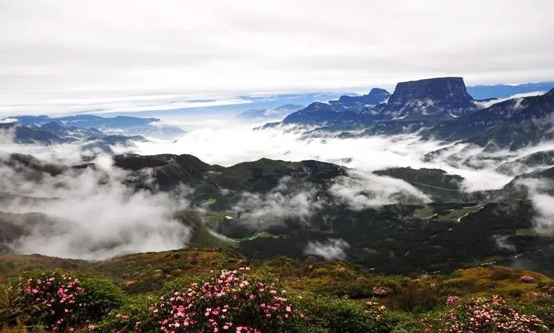 不收门票的世界级风景！赏万亩夏花、观云海日出…成都2天耍来回