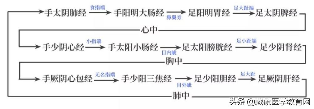 你了解经脉吗？十二经脉的位置、走向规律、交接规律及分布规律
