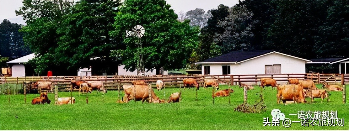 国家农业产业强镇，如何申报？六大要点、六大模式请注意