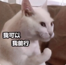 闲鱼小白入手群控软件有用吗