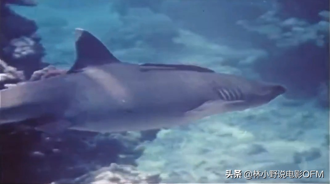 《潜伏》站长太太年轻时是有多美艳，中国第一部科幻片了解一下