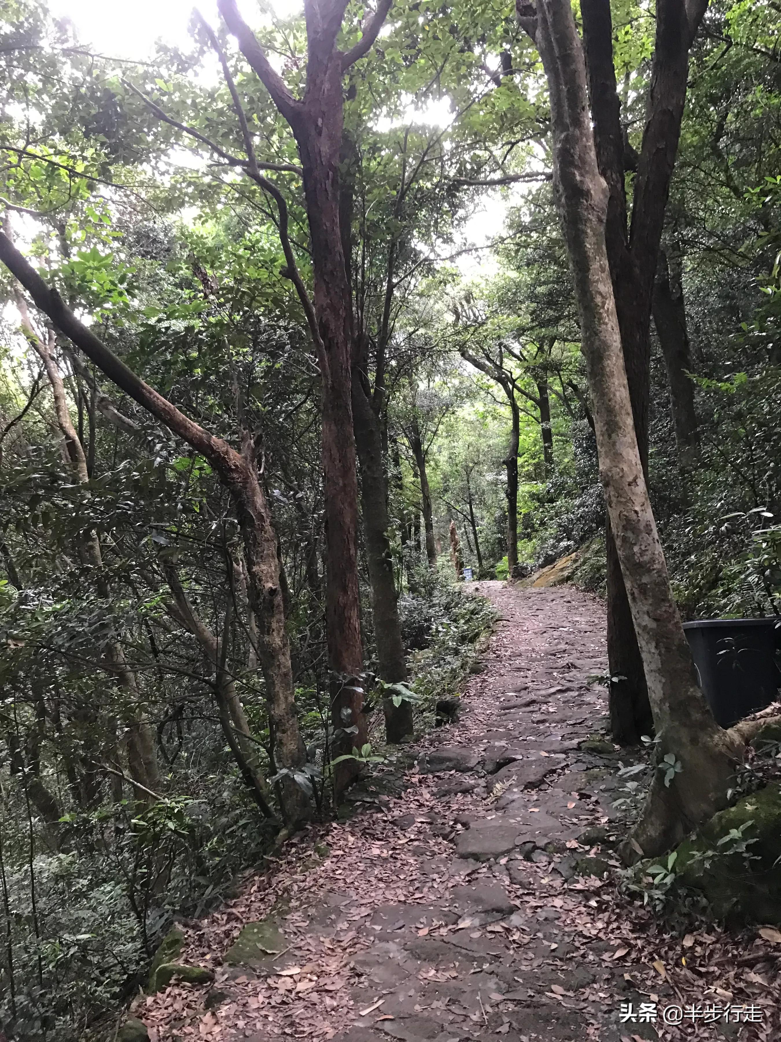 广东5A景区罗浮山，徒步爬山分享