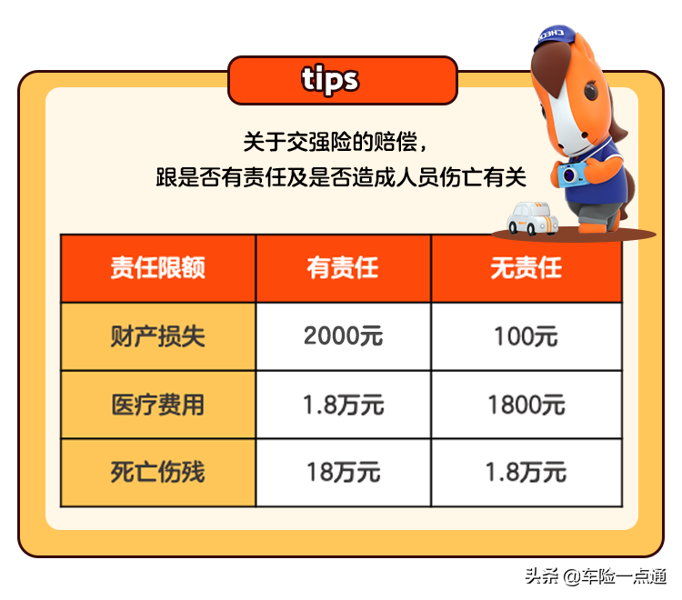 什么是交强险？