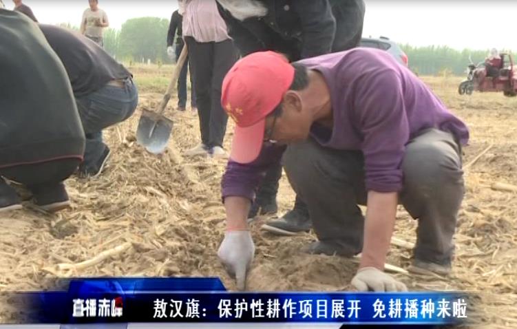 赤峰市敖汉旗：保护性耕作项目展开， 免耕播种来啦