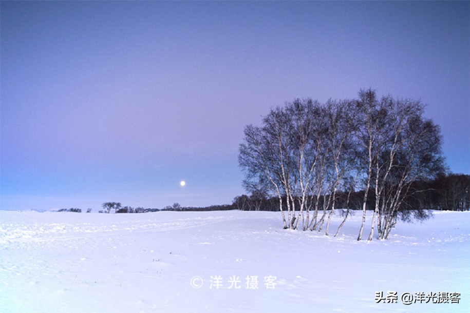 记忆里最美的冬日雪景，或许还是那片幽静美丽的白桦林