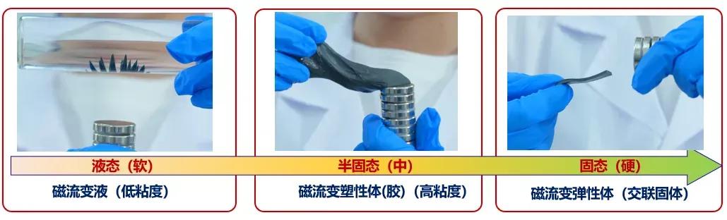 涵盖各大领域！这些重大亮点科技荣获市级奖项