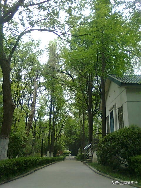 百年名校南京大学一日游，八年前的老照片带你回忆南大