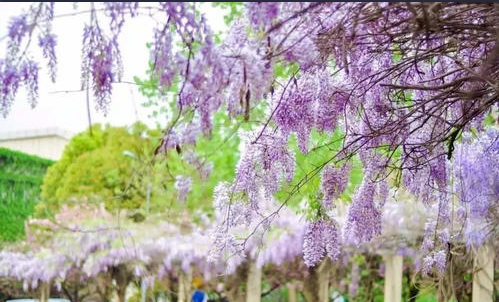 2019 年南理工化工学院拟录取名单（一志愿）