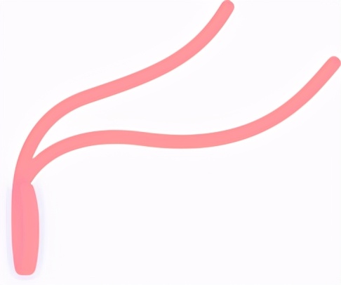 刷新三观！塞进体内的“月经杯”，感觉不可描述