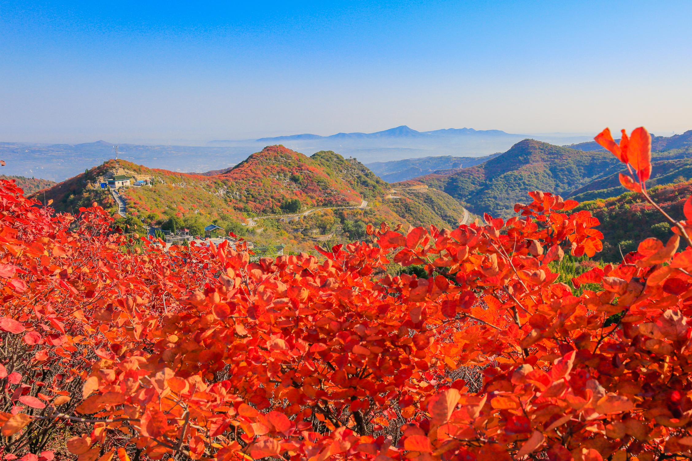 河南观赏最美秋景，去这10个地方就够了，景色绝美