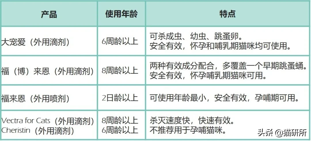 灭跳蚤最有效的方法(消灭99.99%的跳蚤，养宠家庭超实用灭蚤秘籍来了)