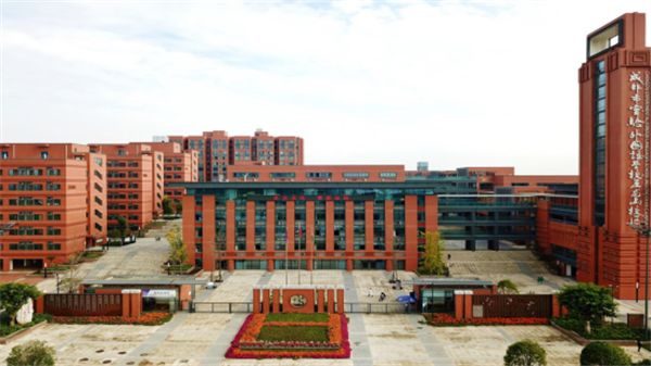 2020小升初新学校解读：关于实外五龙山，你了解多少？