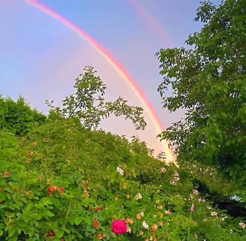 9句庄子名言解析