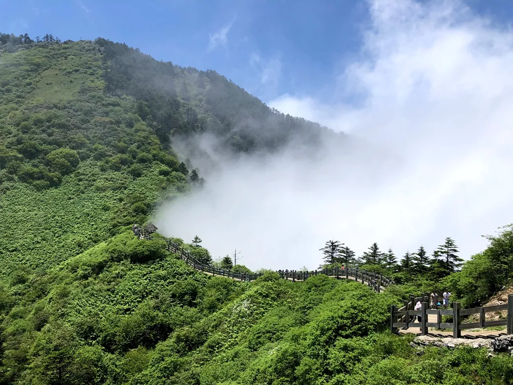 成都1.5刹拢!这个小众森林古镇,清凉耍水、网红拍照、喝茶休闲