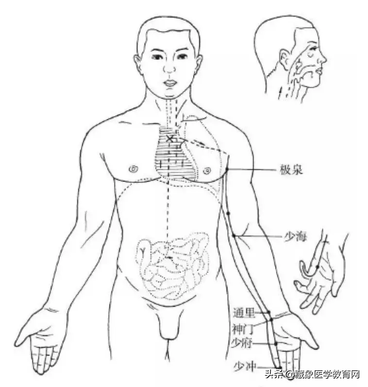 你了解经脉吗？十二经脉的位置、走向规律、交接规律及分布规律