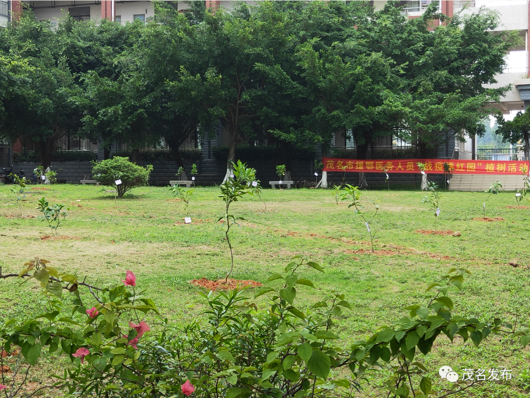 开学啦！多图直击茂名硬核复课第一天