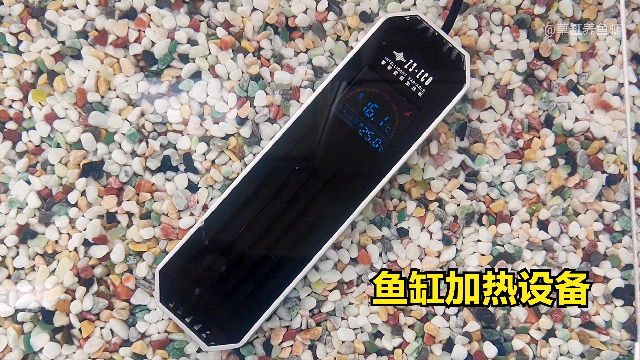 一个80CM的鱼缸，花了2000多，我都买了些什么？贵不贵？