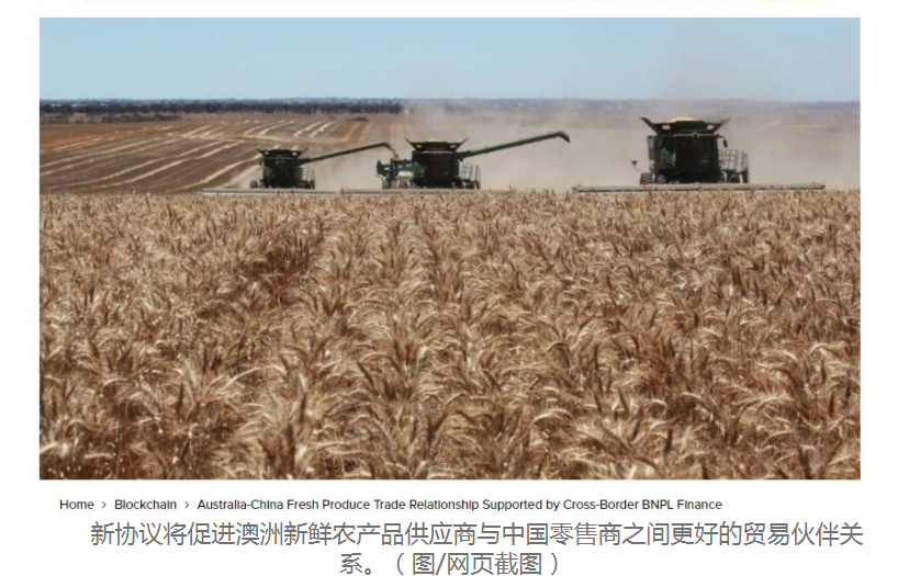 跨境B2B支付来啦 澳洲和中国新鲜农产品贸易获支持