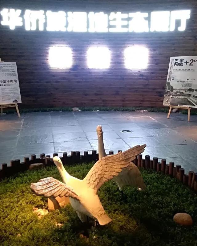 深圳十大免费特色的湖泊公园