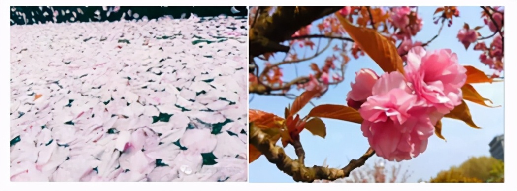 湖北“超网红”大学：依山傍水，空调宿舍，每人还配家具一套