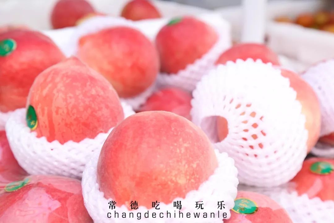 常德这条校园旁最“便宜”的街，却有着我们最“贵”的青春