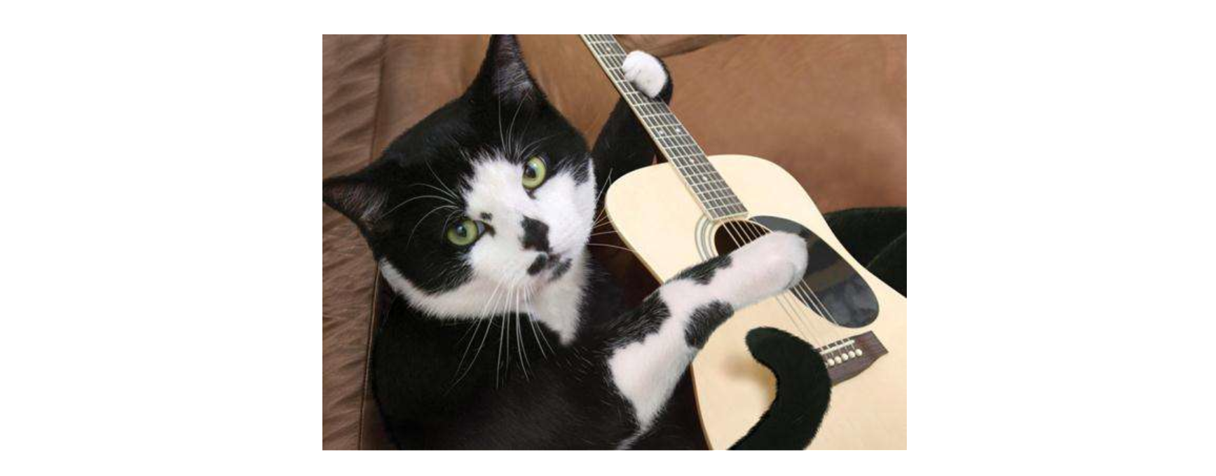 桂林理工大学艺术硕士考研难度较低，竞争较少，分数线不高