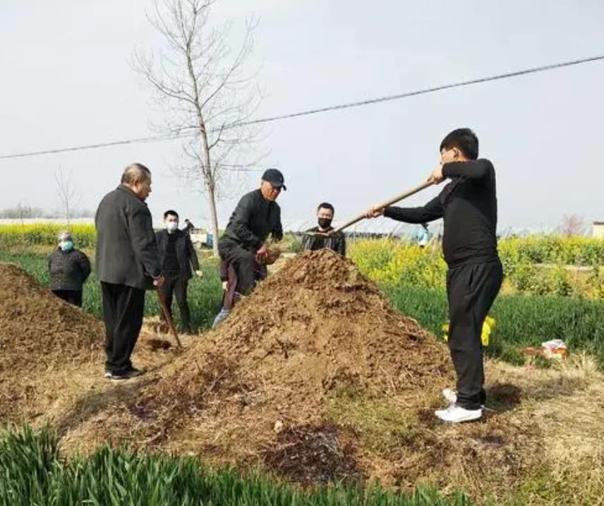 十月一寒衣节，上坟祭祀有“三忌四不做”的讲究，你知道吗？