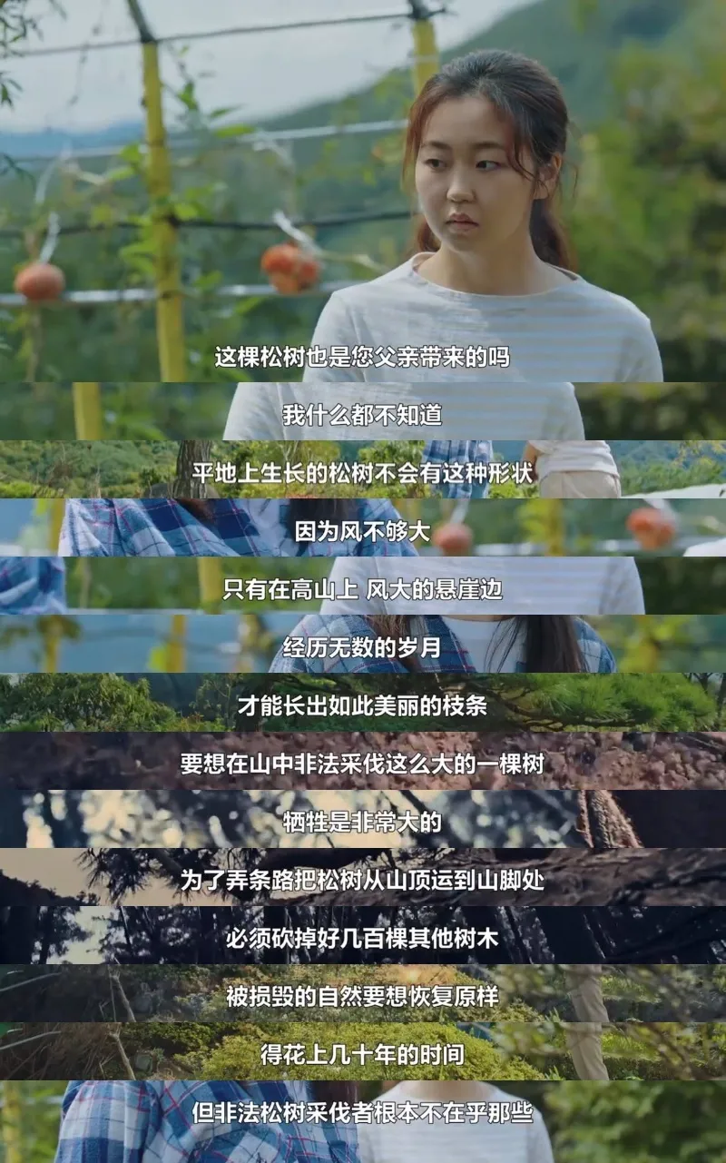 号称投资1.2亿的《智异山》,全智贤竟然翻车了