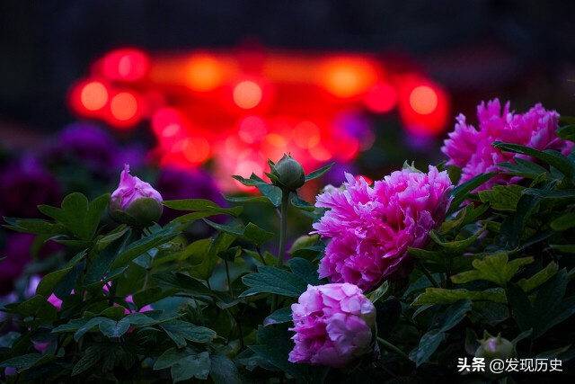 苏轼醉了，提笔写诗一首，风趣幽默，写尽千古风流