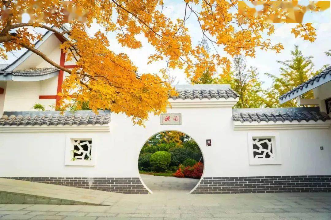 郑州这10个绝佳赏秋地，风景绝美，很多地方都还免费