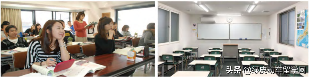 日本语言学校评测——被忽略的宝藏，太阳树日本语学校