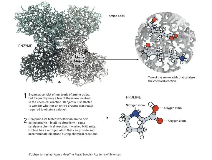 2021诺贝尔化学奖:mRNA 陪跑,给了这个或将改变制药和电池的研究