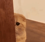 抗衰产品大起底，这 10 款性价比超高，不比医美差