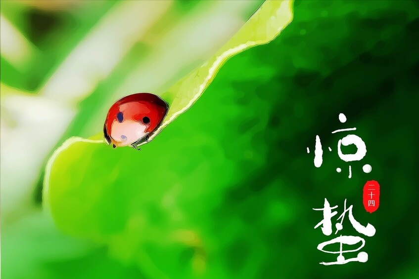 惊蛰，起来聆听自然的声音