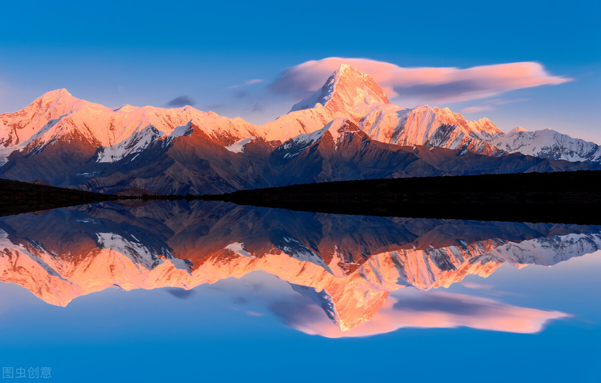 追赶花期，放飞自我