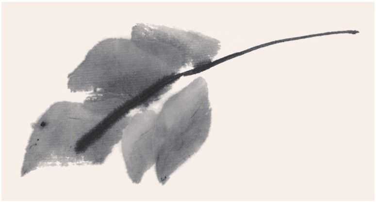 国画知识：常见的五种叶子画法步骤图解，简单易学，小白也能学会