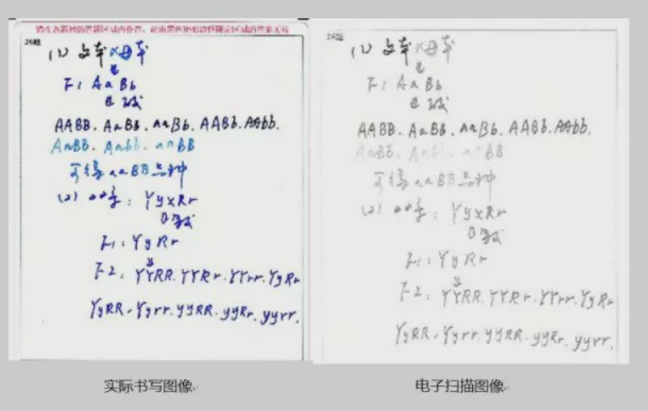 高考神仙卷字体犹如印刷体，电脑阅卷很加分，有的宛如二维码成精